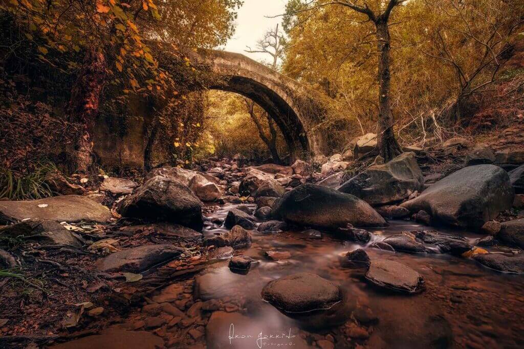 Paisaje Río de la Miel