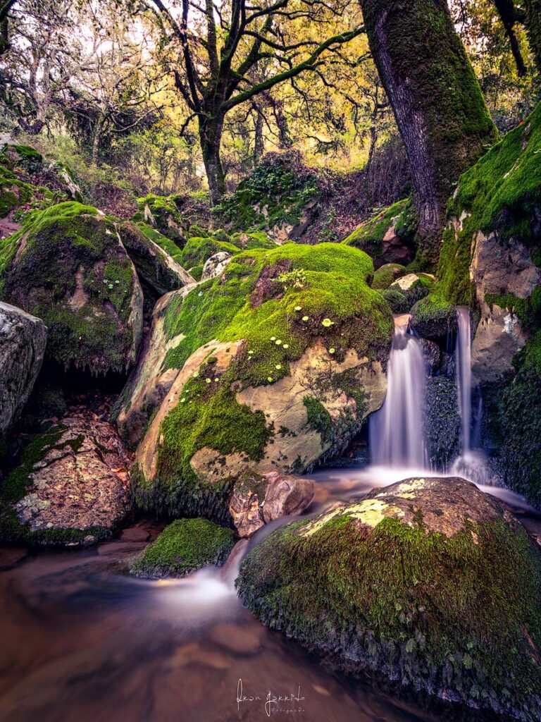 Paisaje La Sauceda