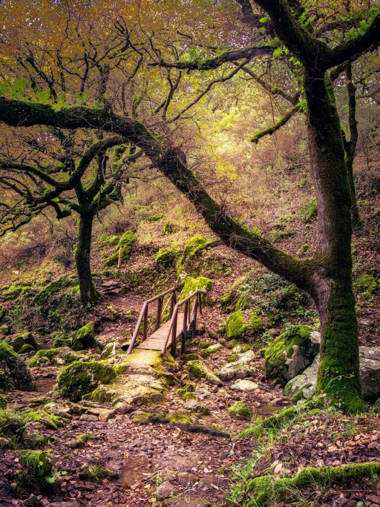 Paisaje La Sauceda