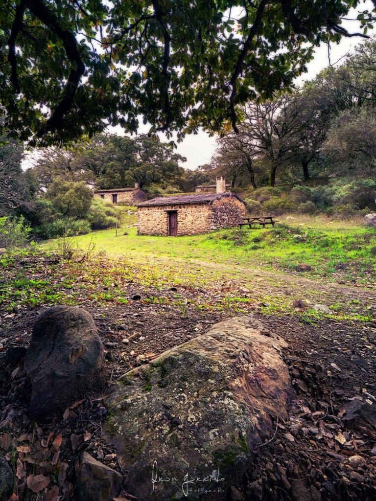 Paisaje La Sauceda