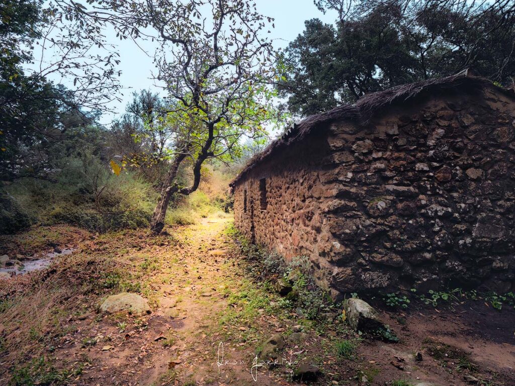 Paisaje La Sauceda
