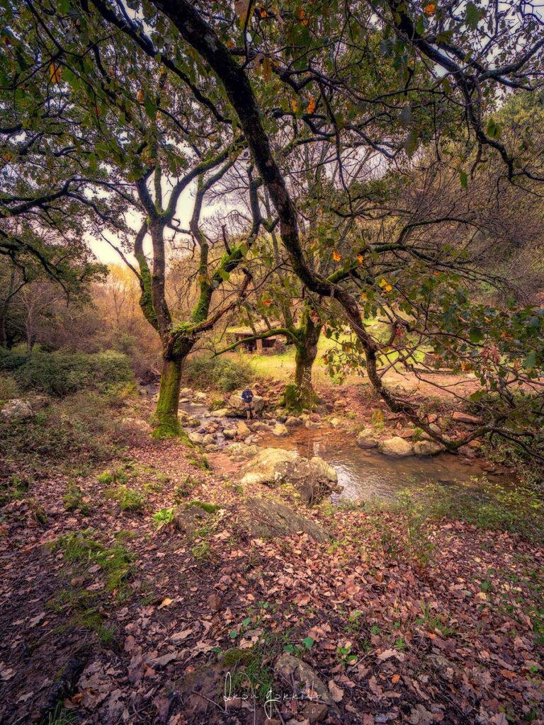 Paisaje La Sauceda