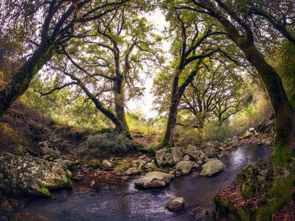Paisaje La Sauceda