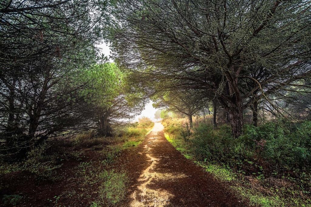 Paisaje El Rompido Huelva