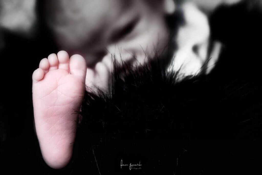 Retrato Newborn