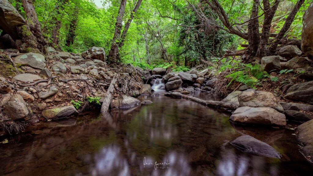 Río de la Miel