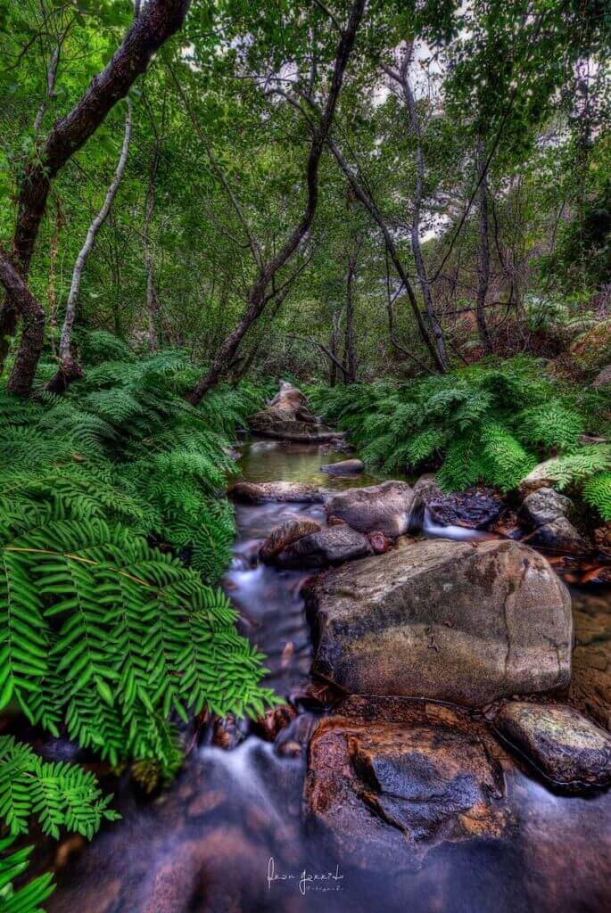 Paisaje Río de la Miel