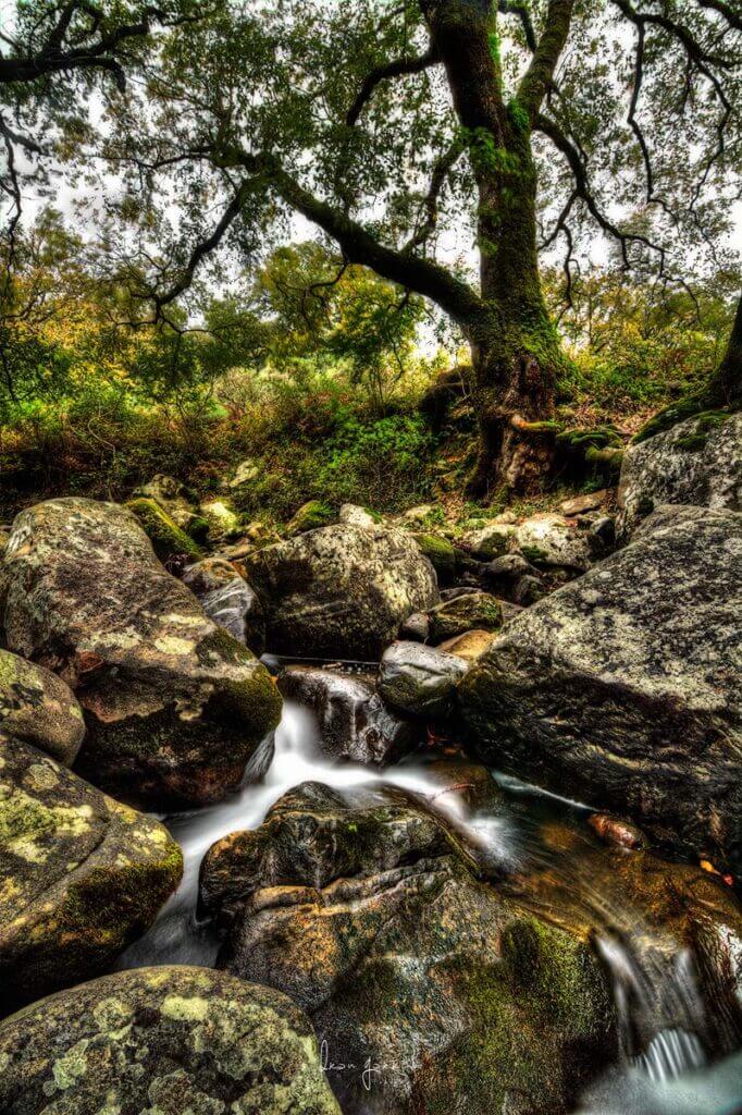 Paisaje La Sauceda